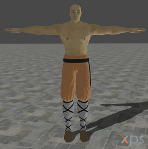 A model of an unplayable Shaolin Monk from Mortal Kombat (2011).