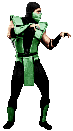 ReptileUMK3stance.gif