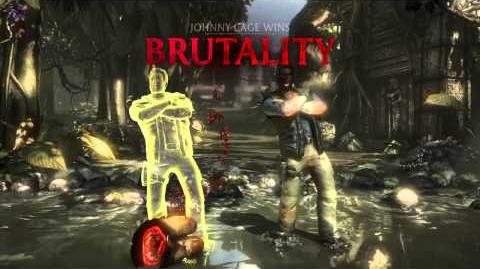 Johnny Cage Brutality 4 - Fall Guy