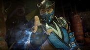 One of Sub-Zero's unlockable intro's.