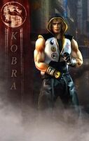 Kobra worn his boxing gloves in his early days before he met both Kabal and Kira.