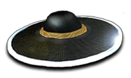 Kung Lao's Razor-Rimmed Hat