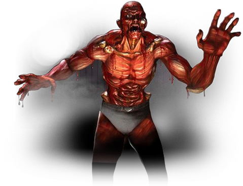 mortal kombat armageddon meat