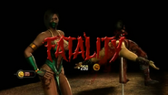 Fatality in MK (2011).