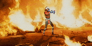 Sektorend.gif
