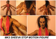 Sheeva model