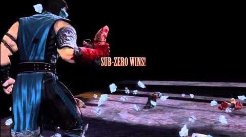 Mortal Kombat (2011) - Sub-Zero Fatality 2