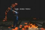 Sub-Zero's Fatality in Deadly Alliance