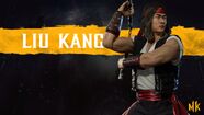 Liu Kang's Promotional Render