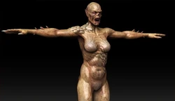 Krypt Monter Concept