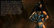 Mk-costumes-alt-kitana-tournament-1-