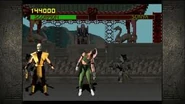 Scorpion's Fatality