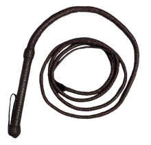 Whip PNG8