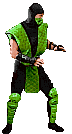 https://static.wikia.nocookie.net/mkwikia/images/f/ff/Animreptileqq6.gif