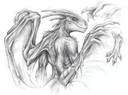 Dragon TF by Childofdune