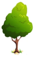 Young peridot tree
