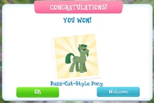 Buzz-Cut-Style Pony Store