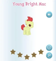 Young Bright Mac Album