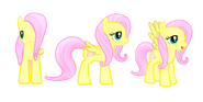 Renders of Fluttershy's model.