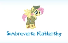 Sombraversefluttershyinventory