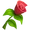 Token Rose