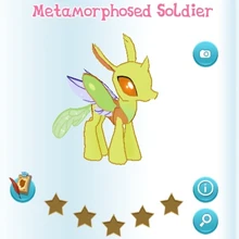 Metamorphosed Soldier Album