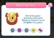 Head Chef Pony info