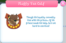 Fluffy Yak Calf Album Description.png