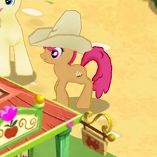 Sunny Appleloosan Character Image