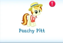 Peachy Pitt Inventory