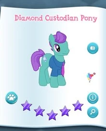 Diamond Custodian Pony Album