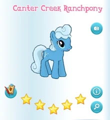 Canter Creek Ranchpony Album