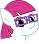 Nearsighted Schoolpony portrait