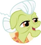 Granny Smith portrait
