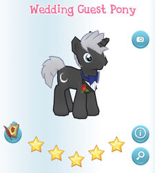 Wedding Guest Pony - Album.jpg