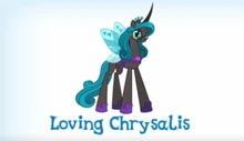 Loving Chrysalis Inventory