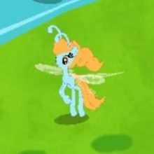 Fluffy maned breezie