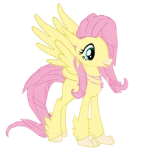 Fluttershy Hippogriff