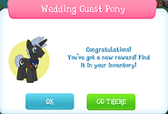 Wedding guest pony reward