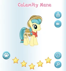 Calamity Mane Album
