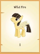 Wild Fire in the player's inventory.