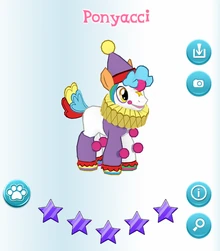 Ponyacci Album