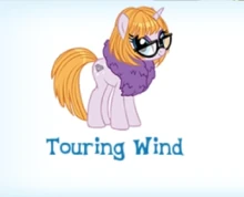 Touring Wind Inventory