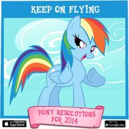 Rainbow Dash's pony resolution for 2014: "keep on flying".