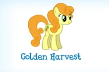 Golden Harvest Inventory