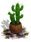 Tall cactus