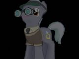 Eyeshade Pony