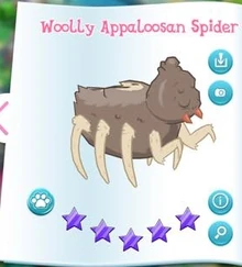 Woolly Appaloosan Spider Album