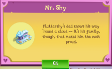 Mr. Shy Album Description