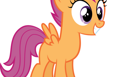 レビュー高評価の商品 My | Belle Sweetie Little Fandom | Wiki Mahou wa Tomodachi Pony ジャケット・アウター